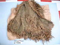 藏品(簑)的圖片